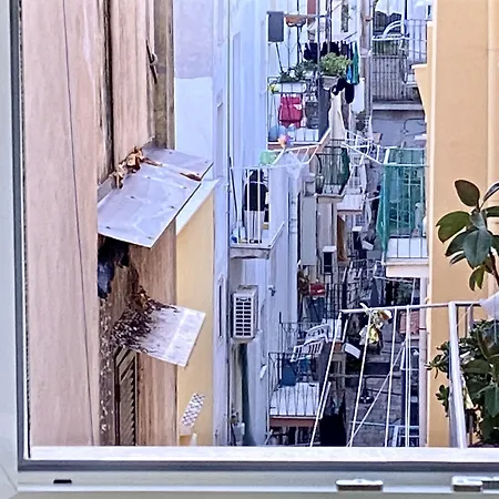 La Dimora Del Golfo Bed & Breakfast